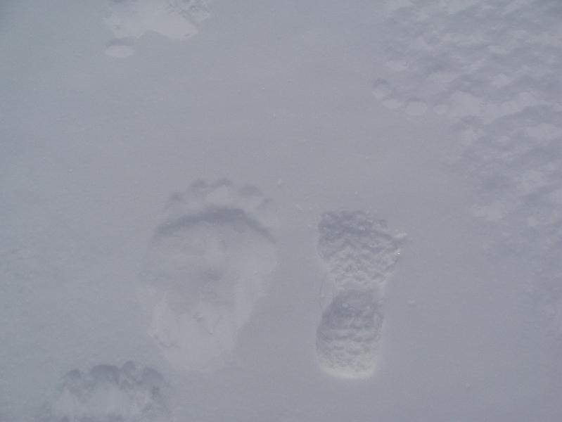tracks off and nutepl'men 005.jpg